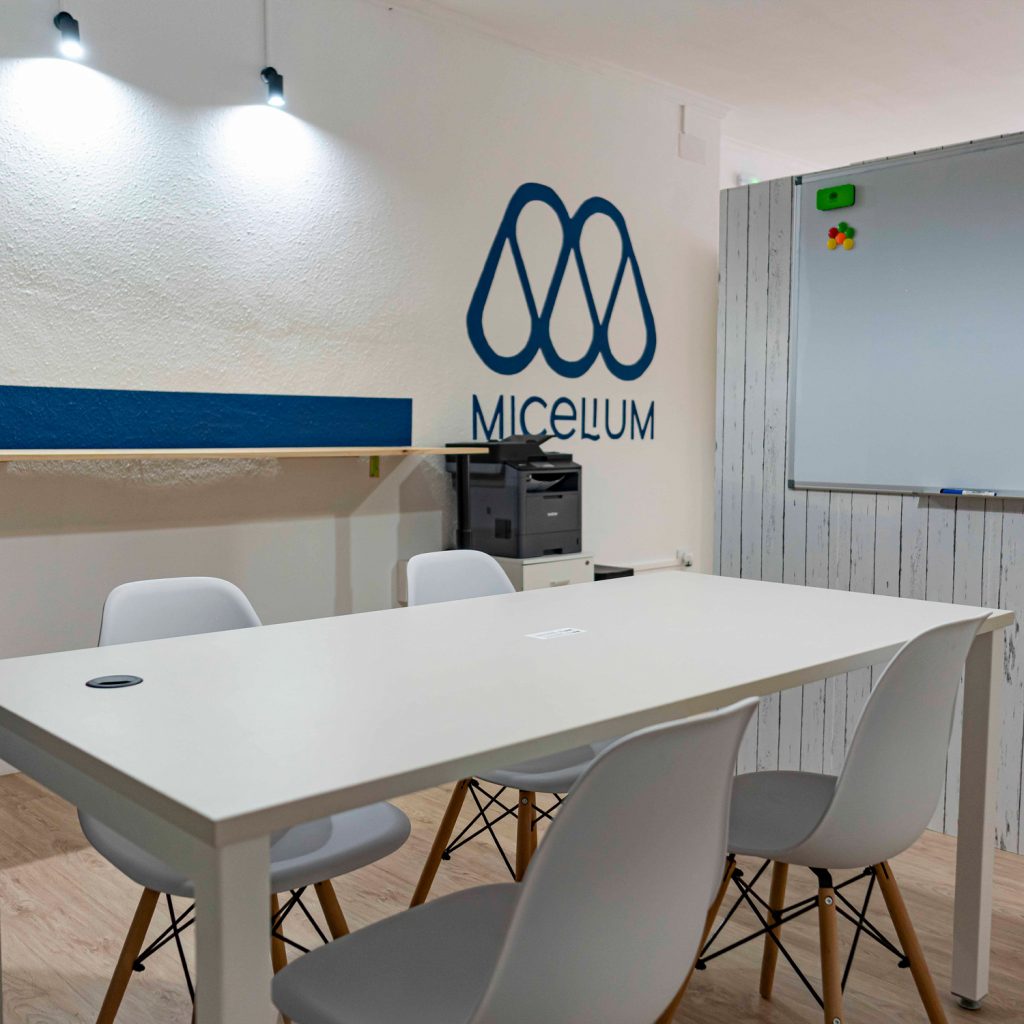 Espacio de coworking compartido con zona de reuniones
