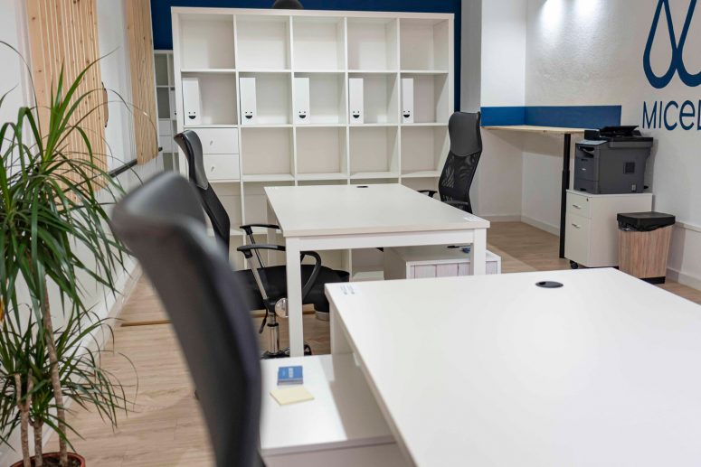 Espacio compartido en Micelium Coworking Space en Dénia
