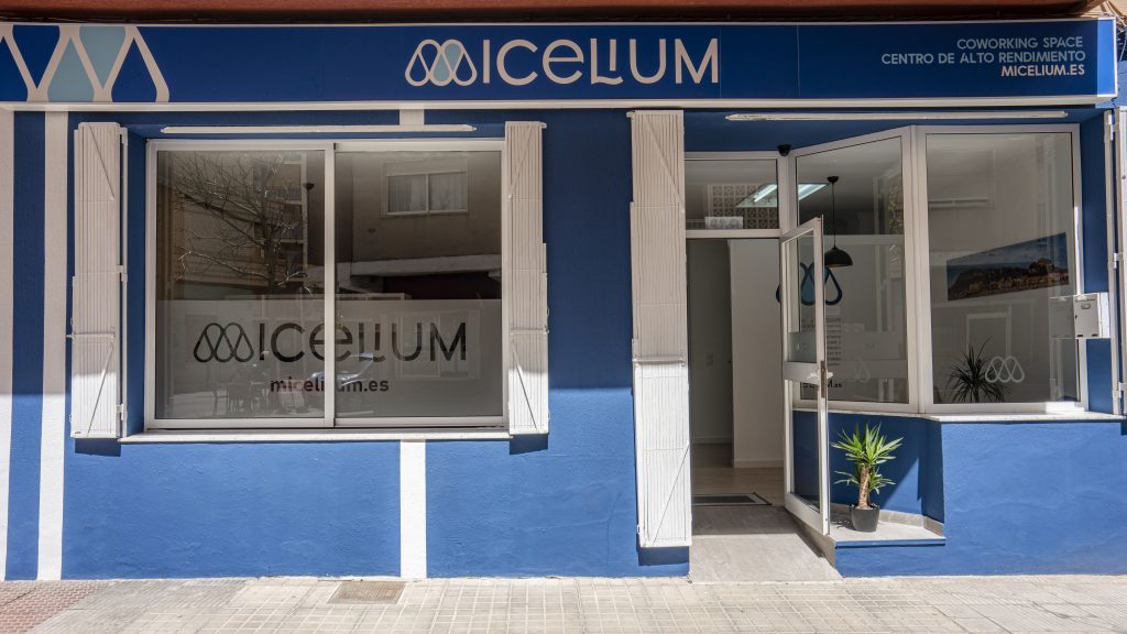 coworking denia - Trabaja y Vive la Marina Alta: Descubre cómo Micelium Coworking Dénia Impulsa tu Negocio en el Paraíso Medi
